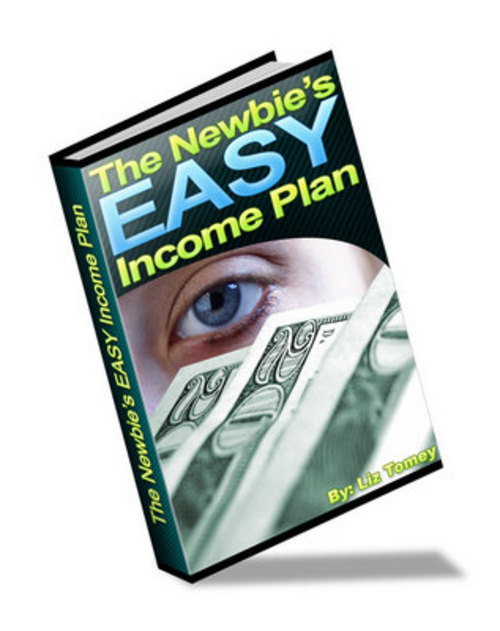 Product picture *NEW* Newbies Easy Income Plan MRR2011
