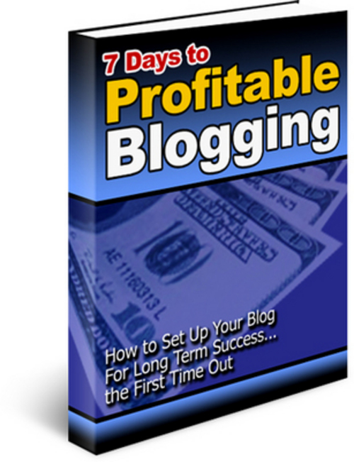 Product picture *NEW* 7 Days To Profitable Blogging 2011